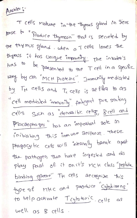 Ansklero T cells Mature in the thymus gland ponse to Produce thymosin that is secreted by the thymus gland, when a T cells