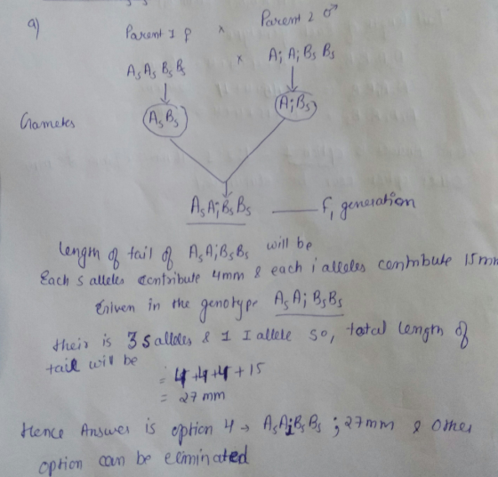 Parent I & Parent 2 o As As Bs B X A; A; Bs Bs. (A;Bs) nametes (ABS) As A; Bs Bs o f generation length of tail of ASA, B Bs w
