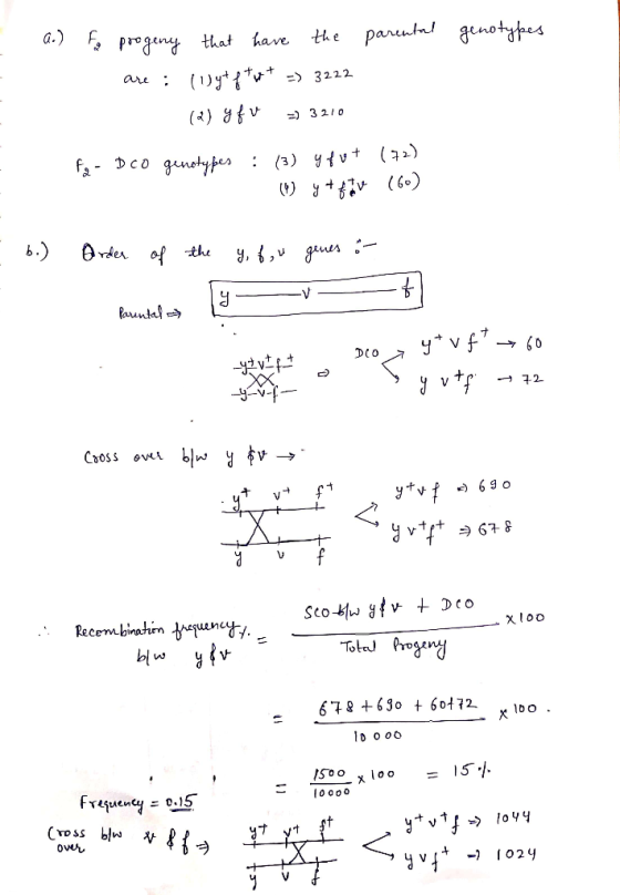 a.) parental genotypes Fa progeny that have the are : (ljyt p*u* =) 3222 Q) y fue =) 3210 fa- Dco genotypes :(3) y fot y + mv