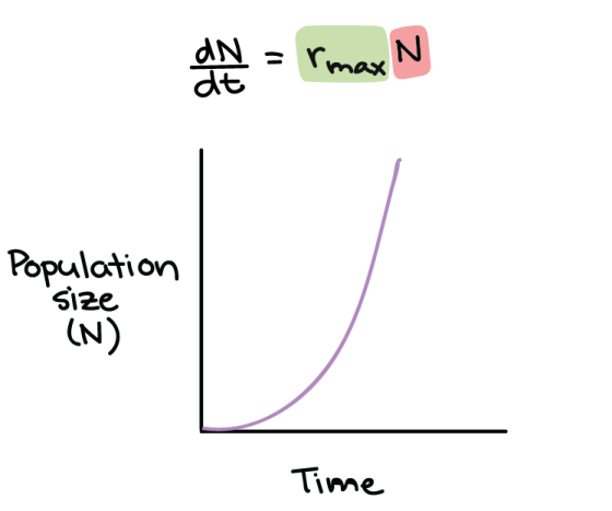 = rmax N 등용 dt Population size (N) Time