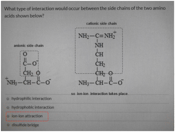 What type of interaction would occur between the side chains of the two amino acids shown below? cationic side chain anionic