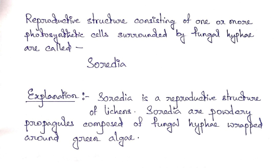 Reproductive structure consisting of one or more photosyodhetic cells surrounded by fungal hyphae are called - Soredia Explan
