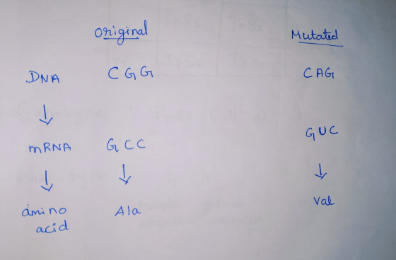 Original Mutated DNA CGG CAG -> GUC mRNA GCC - Val amino Ala acid