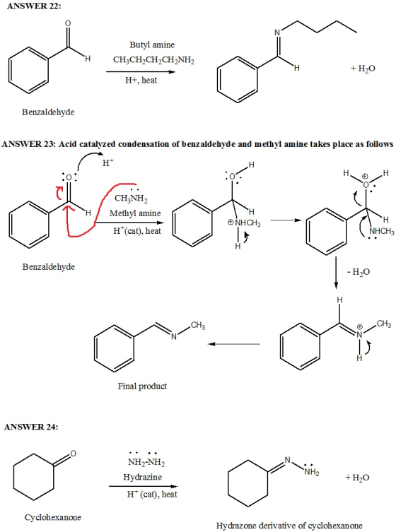 ANSWER 22: Butyl amine H CH3CH2CH2CH2NH2 + Hо H+, heat Benzaldehyde ANSWER 23: Acid catalyzed condensation of benzaldehyde an