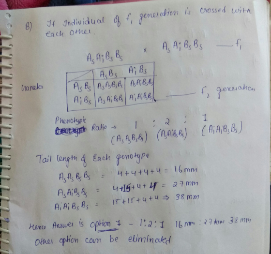 B) If Individual off, generation is crossed with each other. AA Bg Br. A A; Bg B X А, В, А, В, As Bs As As BSB / AS A, B, B,