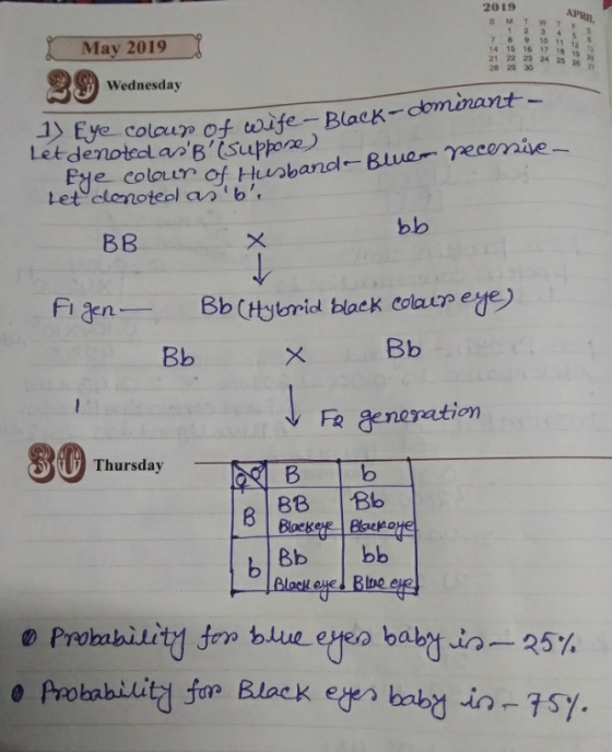 APRI May 2019 29 Wednesday 2019 M T W T 1 2 3 4 5 7 8 9 10 11 12 14 15 16 17 18 19 21 22 23 24 25 26 28 29 30 I) Eye colour o