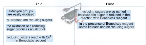 True False aldehyde groups reducing sugars are so named because the sugar is reduced in the reaction with Benedicts reagent
