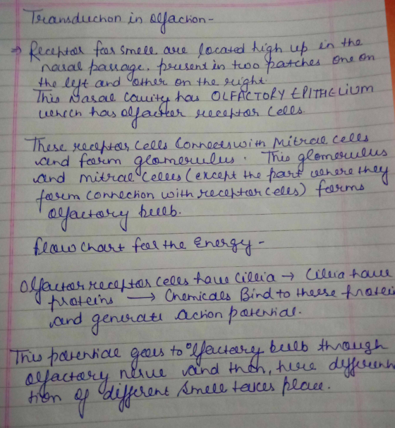 ub in the psrusant in tuoo the lye ard Cathite on tha sugh om osum Co und g bulb through husa ALJa ( t四.dj ltuuu Aiv dit