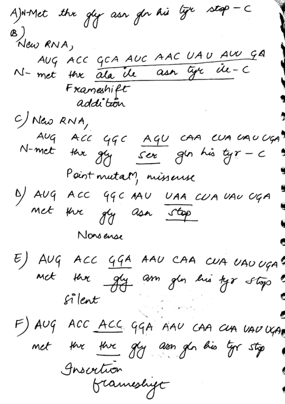 A)N-Met the gly ass ger his tyr stop -c New RNA, AUG ACC GCA AUC AAC UAU AVU GA N- met thee ala ile ash tyr ile-c Frameshift