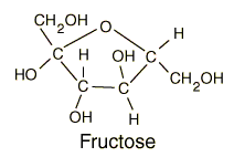 CH OH I с н он - НО сн,он c— с ОН H Fructose