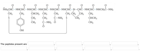 NH3CHC-NHCHC NHCHC NHCHC NHCHC NHCHC N-CHC NHCHC NHCH2C-NH2 HCHs CH NH2 CHCH 3 CH NH2 он The peptides present are