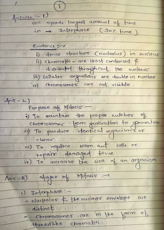 - Answer - 1 cell (espends longest amount of time in Interphase (gor. time I SEM evidence : les ) dense structure Cnudeolus)