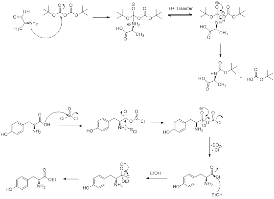 H+ Transfer OH to beck H+ Transfer tai i L to biok Toto NH2 NH2 NHH ot нас HO CH3 HN Но, + HO O on Bregional Bottom to Gro o