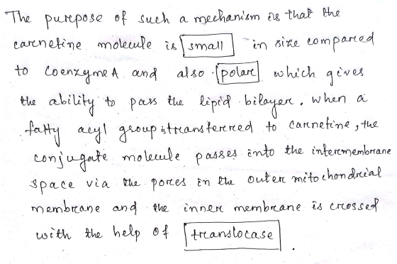 The purpose of such a mechanism is that the carenetine molecule is small in sine compared to coenzyme. A. and also (polare wh