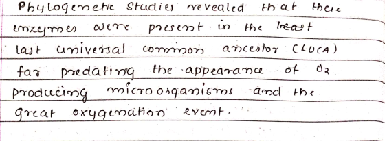 Phylogenetic studies revealed that there enzymes were present in the last last universal como son ancestor CLUCA) 1 far preda