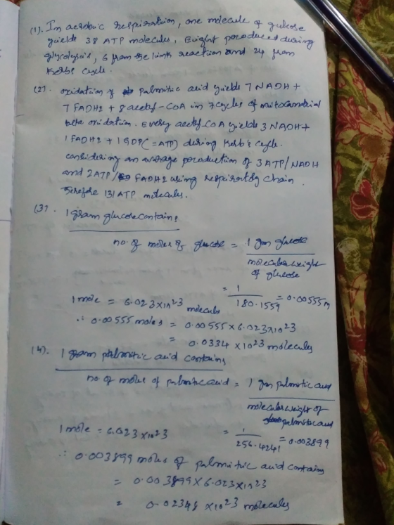 blte.at dahin. EveReTauly.contr elala 3 NAD#4 80-1551 o, oa 3h1x6.st3x! ^ , 3