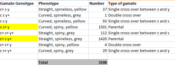 Gamate Genotype Ct S C S csY csty C+ Phenotype Straight, spineless, yellow Curved, spineless, grey Curved, spineless, yellow