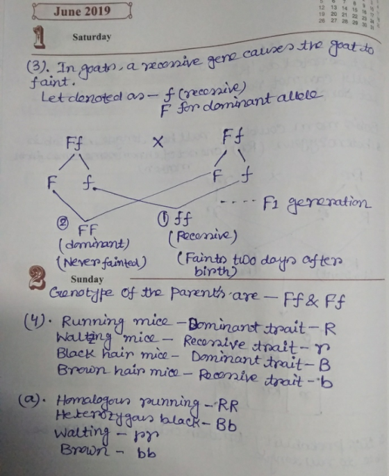 June 2019 12 19 26 13 20 27 Saturday 3. In goato, a necessive gene cale ne causes the goat to faint. Let denoted as of creces