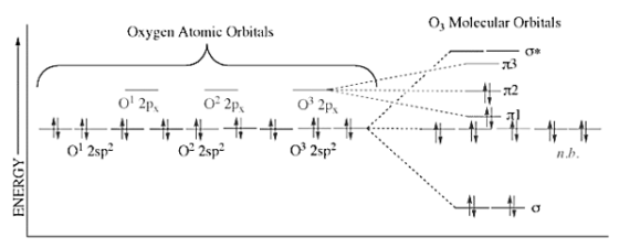 O, Molecular Orbitals Oxygen Atomic Orbitals -12 O 2p, O 2Px O 2sp? 0° 2sp? O* 2sp? n.b. ENERGY·