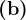 \textbf{(b)}