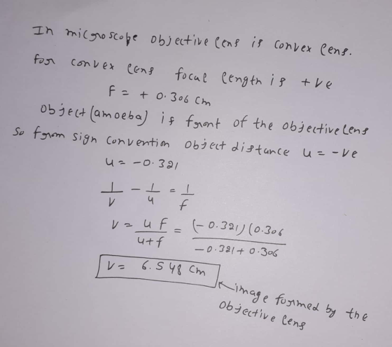 In microscope objective cenf is convex Cens. for convex Cens focal length is the +0.306 cm Object (amoeba) if foront of the o