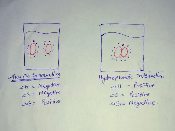 when No nteractiom Hydrophobic inuterachion > H Positive bS Positive △G= Negative Negative ositive