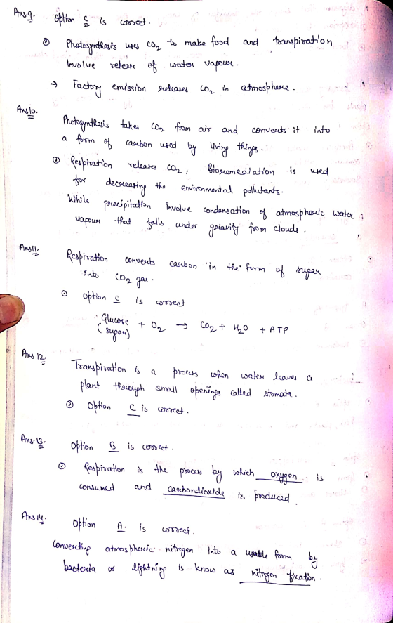 AL option { is correct. roduits de mest o Photosynthesis lites con to make food and transpiration Involve release of water v