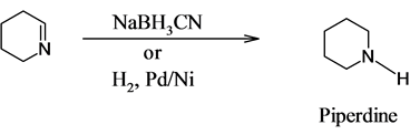 NaBH,CN
H,, Pd/Ni
Н
Piperdine