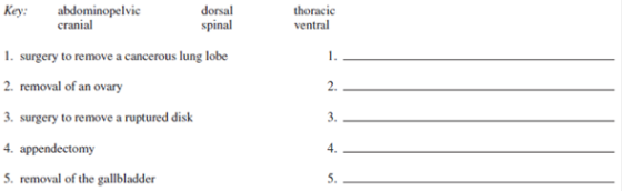 Key:abdominopelvic cranial dorsal spinal thoracic ventral 1. surgery to remove a cancerous lung lobe 2. removal of an ovary 3. surgery to remove a ruptured disk 4. appendectomy 5. removal of the gallbladder 2. 3. 4.