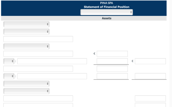 PINA SPA Statement of Financial Position Assets € €