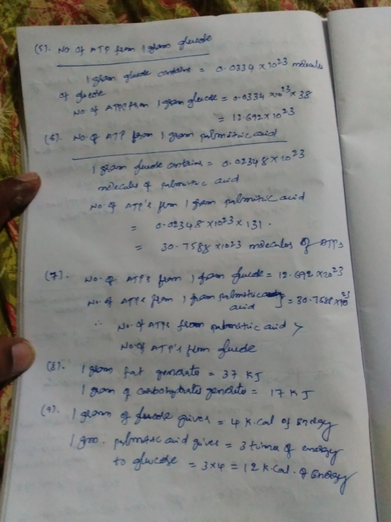 131. to