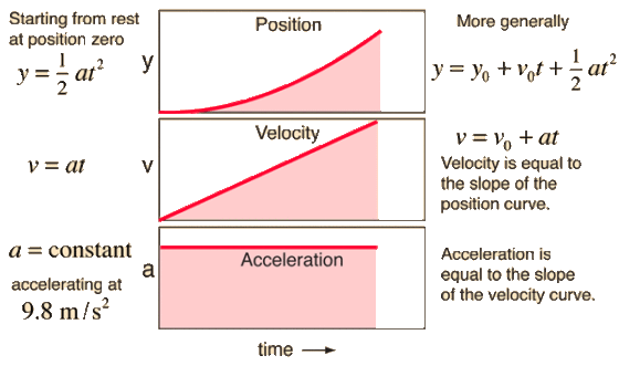 Starting from rest at position zero Position More generally yat 2 Velocity Velocity is equal to the slope of the position cur
