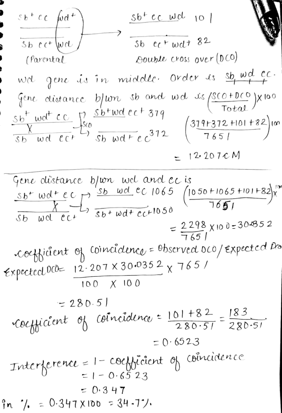 sht ec fud ) sht e c wd ol Sb ect wit 82 ASCO Sb ect (ca (Parental Double cross over (D.Co) • wel gene is in middle Order is