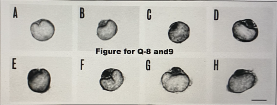 Figure for Q-8 and9
