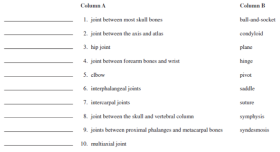 Column A 1. joint between most skull bones 2. joint between the axis and atlas 3. hip joint 4. joint between forearm bones and wrist 5. elbow 6, interphalangeal joints 7. intercarpal joints 8. joint between the skull and vertebral column 9. joints between proximal phalanges and metacarpal bones 10. multiaxial joint Column B ball-and-socket condyloid plane hinge pivot saddle suture symphysis syndesmosis