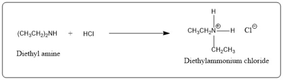 H (CH3CH2)2NH + C CH3CH_ N HCI mon — reasons pour H ausenden op Diethyl amine CH2CH2 Diethylammonium chloride