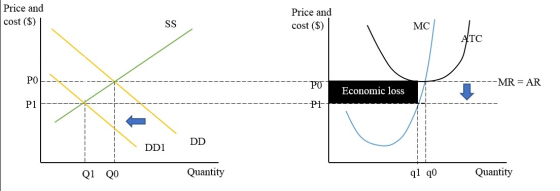 Price and Price and cost (S) SS cost ($) МC ATC РО MR AR РО Economic loss P1 P1 DD DD1 Quantity Quantity ql q0 Q1 Q0