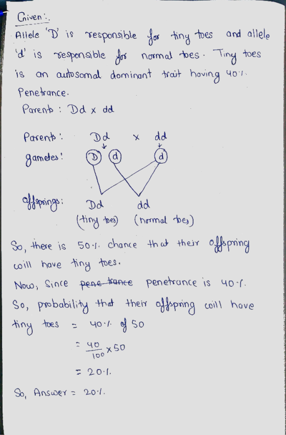 Criven : . . Allele D is responsible for tiny toes and allele d is responsible for normal toes. Ting toes is an autosomal