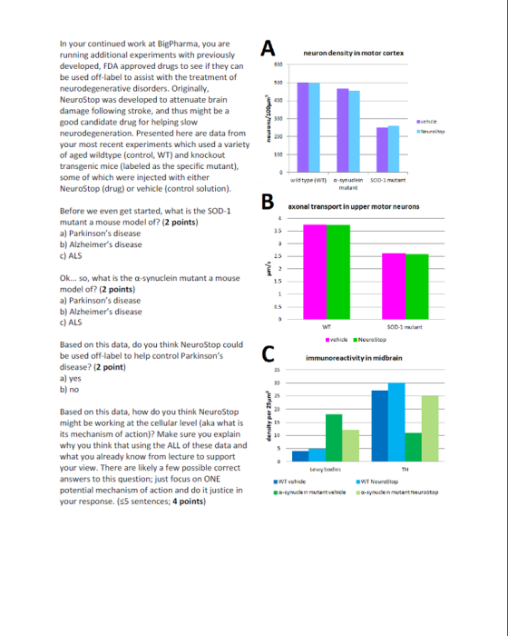 In your continued work at BigPharma, you are running additional experiments with previously developed, FDA approved drugs to see if they can be used off-label to assist with the treatment of neurodegenerative disorders. Originally, NeuroStop was developed to attenuate brain damage following stroke, and thus might be a good candidate drug for helping slow neurodegeneration. Presented here are data from your most recent experiments which used a variety of aged wildtype (control, WT) and knockout transgenic mice (labeled as the specific mutant), some of which were injected with either NeuroStop (drug) or vehicle (control solution). neuron density in motor cortex 600 500 400 300 vehicle 200 100 wildtype(wT) α-Synuclein mutant SOD-1 mutant axonal transport in upper motor neurons Before we even get started, what is the SOD-1 mutant a mouse model of? (2 points a) Parkinsons disease b) Alzheimers disease c) ALS 3.5 Ok so, what is the α-synuclein mutant a mouse model of? (2 points) a) Parkinsons disease b) Alzheimers disease c) ALS 1.5 SOD-1 mutant -vehicle NeuroStop Based on this data, do you think NeuroStop could be used off-label to help control Parkinsons disease? (2 point) a) yes b) no immunoreactivity in midbrain 30 25 20 Based on this data, how do you think NeuroStop might be working at the cellular level (aka what is its mechanism of action)? Make sure you explain why you think that using the ALL of these data and what you already know from lecture to support your view. There are likely a few possible correct answers to this question; just focus on ONE 15 10 Lewy bodies TH WT NeuroStop a-synucle in mutant Neurostop WT vehicle tential mechanism of action and do it justice in your response. ($5 sentences; 4 points) c-synucle in mutant vehicle