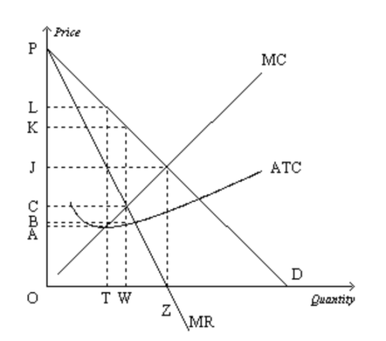 1 Price P MC L K J ATC B A D TW Quantity N MR