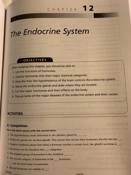 CHAPTER 12 The Endocrine System OBJECTIVES After studying this chapter, you should be able to: 1. List the functions of hormo