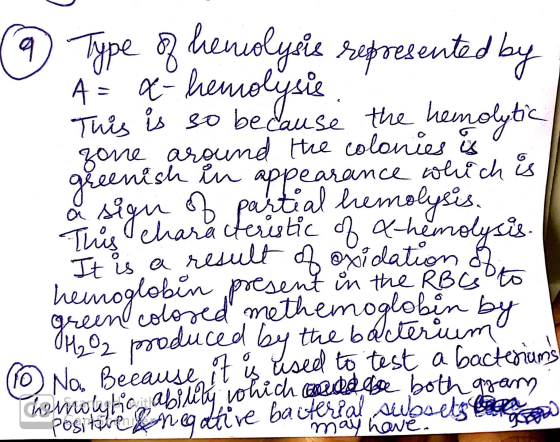 Type o hemolysis represented by A = a hemolysis This is so because the hemolytic greenish in appearance which is å signar la