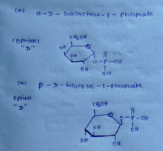 (as a-D- Galactose-&- phosphate, сон (Ориот) Ф) он о-р-он он (b) -D Glucose - I-phosphate option СОН Р - ОН