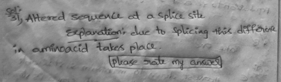 top Altered sequence at a splice site Explanations due to splicing this difference in aminoacid takes place, (please rate my