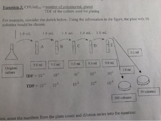 Equation 3: CFU/mL = number of colonies/mL plated TDF of the culture used for plating For example, consider the sketch below.