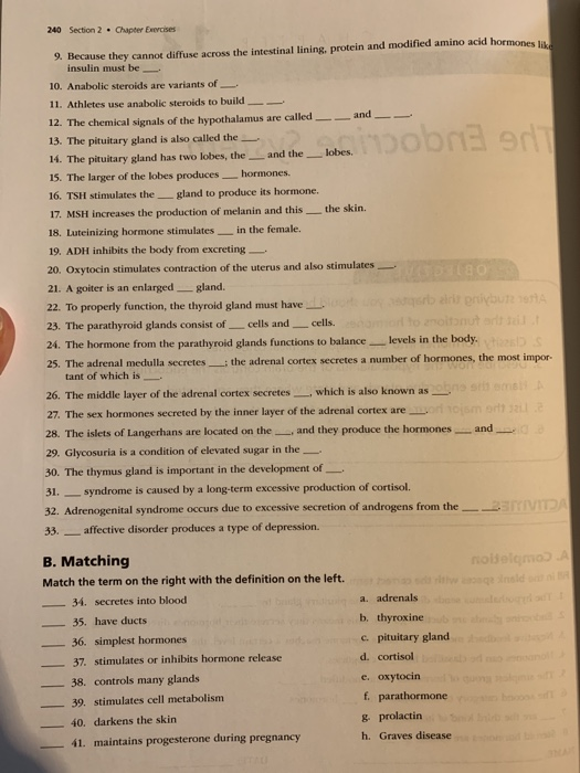 240 Section 2. Chapter Exercises 9. Because they cannot diffuse across the intestinal lining, protein and modified amino acid