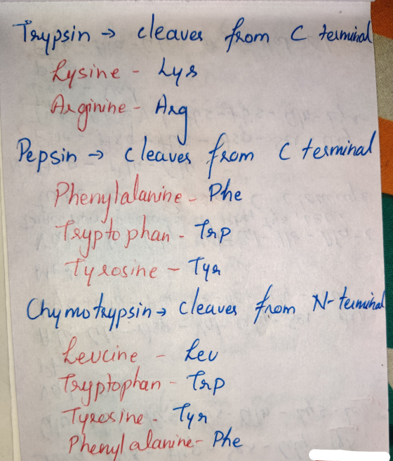 Trypsin - cleaves from C terminal Lysine - Lys Arginine - Ang Pepsin - cleaves from ( terminal Phenylalanine Phe Teyp to phan