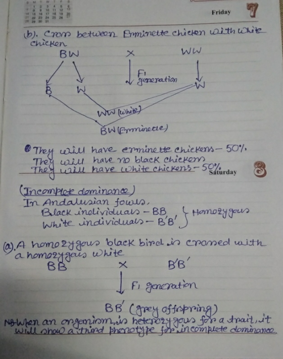10 11 12 14 15 16 17 18 19 21 22 23 24 25 26 29 30 31 13 20 27 Friday Erminette chicken with white (b). Crom between Chicken