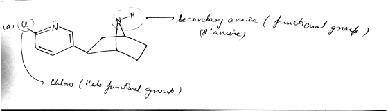 - Secondary amine (functional - a anune) group) Chloro ( Halo functional group!