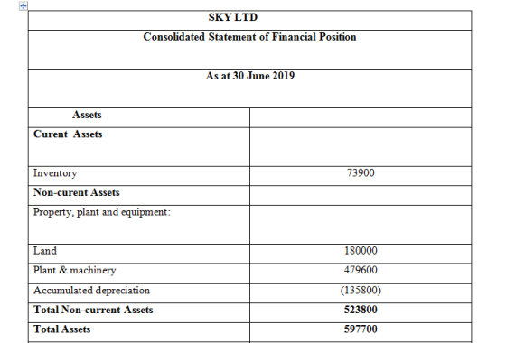 SKY LTD Consolidated Statement of Financial Position As at 30 June 2019 Assets Curent Assets Inventory 73900 Non-curent Asset
